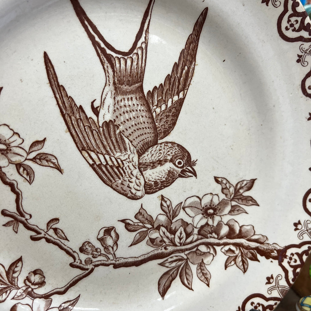 Assiette oiseau