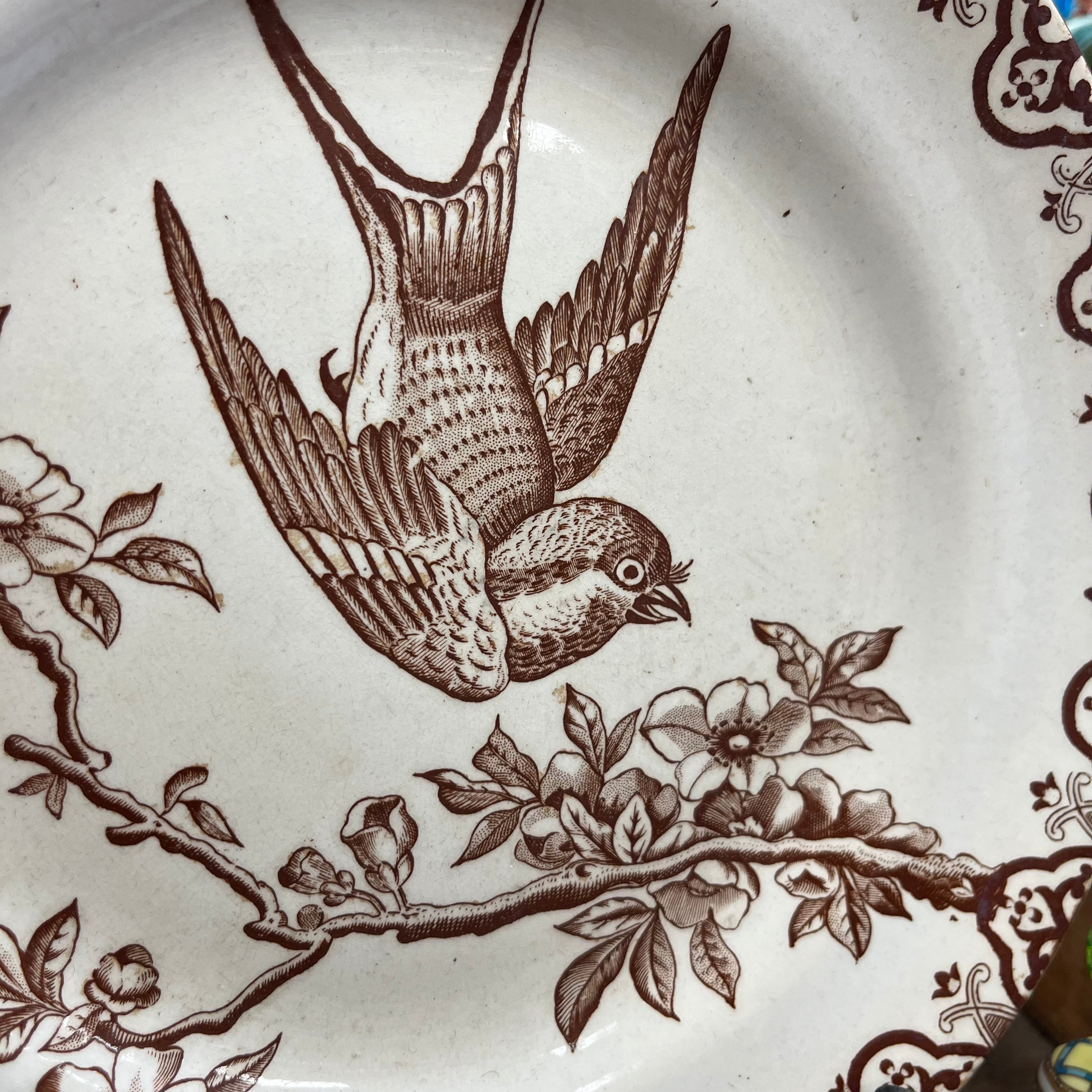 Assiette oiseau